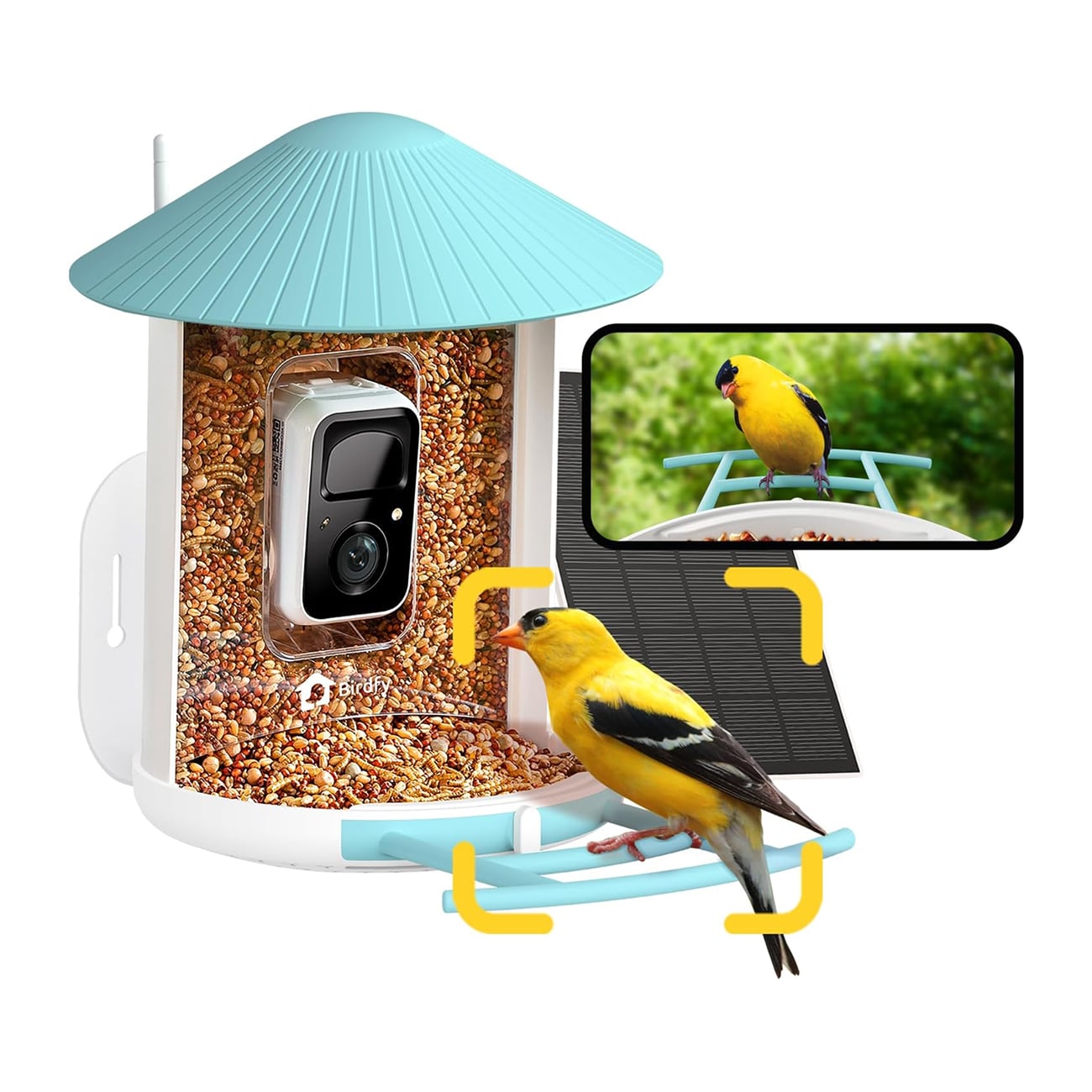 Best 5 Bird Feeder Cameras of 2025: Crystal-Clear Wildlife Watching ...